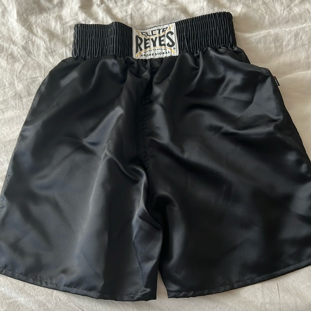 Cleto Reyes boxing mma fight shorts trunks black